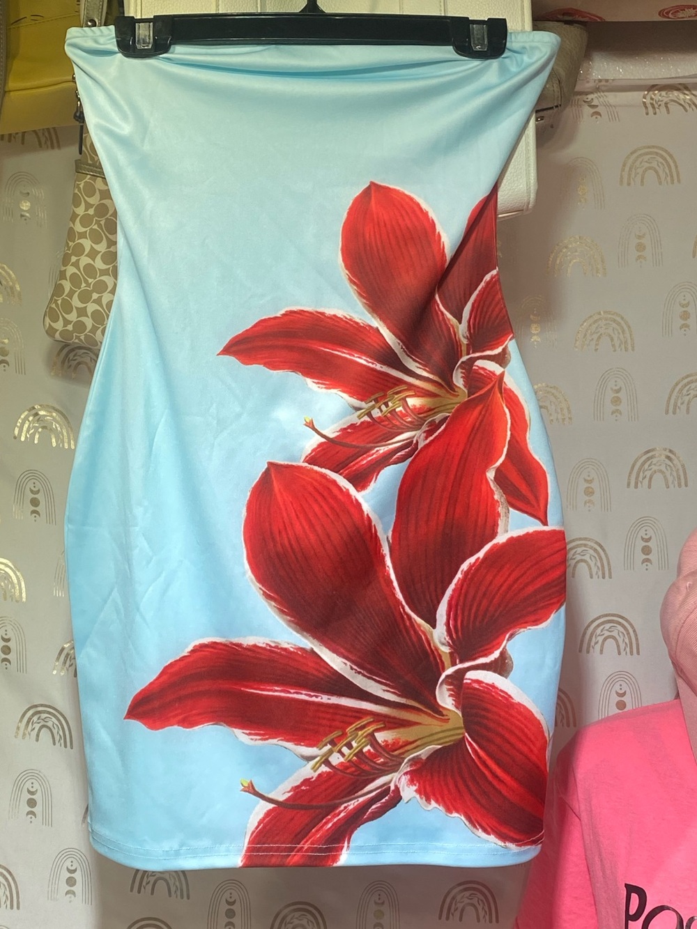 SHEIN Light Blue Strapless dress with Red Floral Print